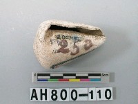 藏品(螺類)的圖片